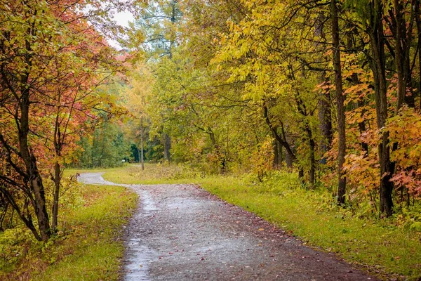 Paisaje del parque de otoño. Otoño dorado. Día soleado en el parque de otoño con árboles amarillos. Hermoso paisaje . —  Fotos de Stock