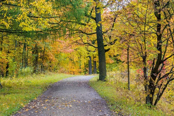 Paisagem do parque de outono. Outono dourado. Dia ensolarado no parque de outono com árvores amarelas. Bela paisagem . — Fotografia de Stock