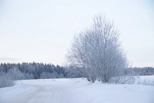 Estrada Nevada Durante Dia Época Inverno — Fotografia de Stock