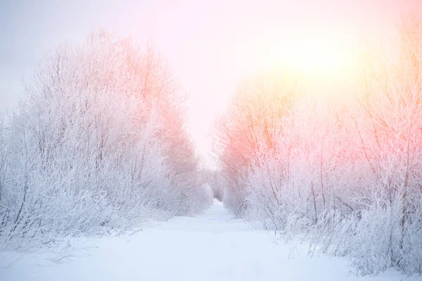 Estrada Nevada Durante Dia Época Inverno — Fotografia de Stock