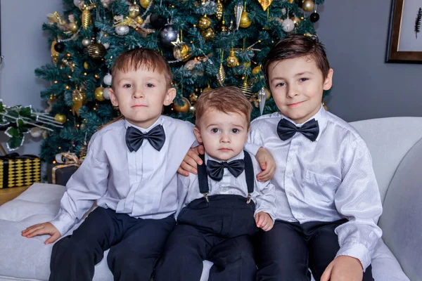 Três Irmãos Fundo Árvore Natal Conceito Feriados Ano Novo — Fotografia de Stock