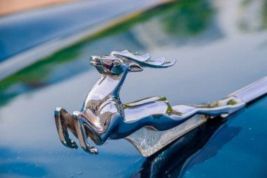 Rusya, St. Petersburg - 25 Mayıs 2019: Eski motorlu araçların geçmişe dönük sergisi, klasik ulaşım kavramı