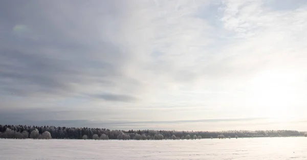 Paesaggio Invernale Innevato Campo Con Alberi Bianchi Congelati — Foto Stock
