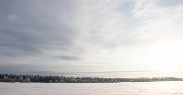 Paisaje Nevado Invierno Campo Con Árboles Blancos Congelados —  Fotos de Stock