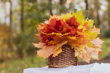Kitaplı çay fincanı ve akçaağaç yaprağı sepeti, sonbahar partisi konsepti