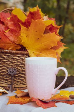 Kitaplı çay fincanı ve akçaağaç yaprağı sepeti, sonbahar partisi konsepti