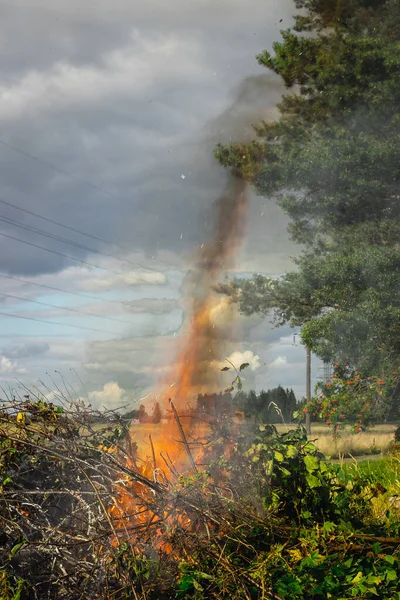 病気の茂みを燃やす 煙で大きな火 — ストック写真