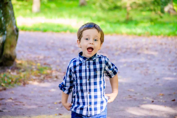 穿着衬衫在公园里散步的小男孩的画像 — 图库照片