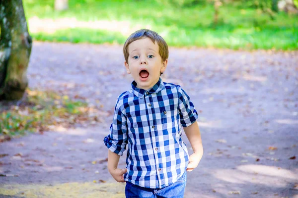 穿着衬衫在公园里散步的小男孩的画像 — 图库照片
