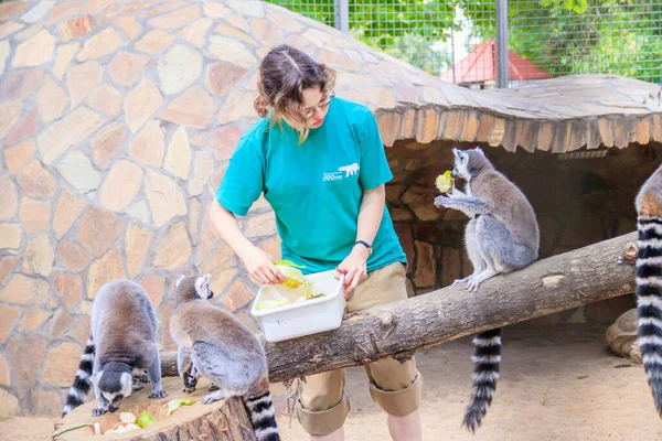 動物園写真素材 ロイヤリティフリー動物園画像 Depositphotos 動物園写真素材 ロイヤリティフリー動物園画像 Depositphotos