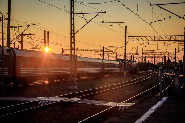 Rusko Lyuban Srpna 2019 Letní Železnice Ruska Železná Stezka Zázemí — Stock fotografie