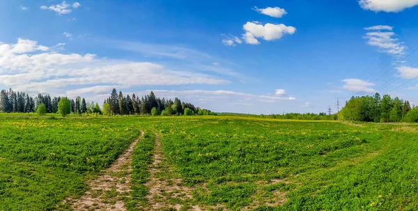 Panorama Letní Krajina Poli Ruský Otevřený Prostor Letní Krajina Květiny — Stock fotografie