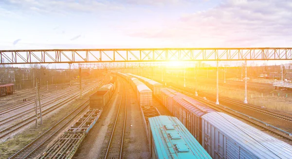 Commodity Cars Railway Cargo Transportation Panorama Wagons Awaiting Loading Russian — Stock Photo, Image