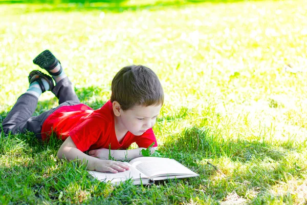 Anak Itu Terbaring Rumput Dan Membaca Buku Anak Muda Masa Stok Foto