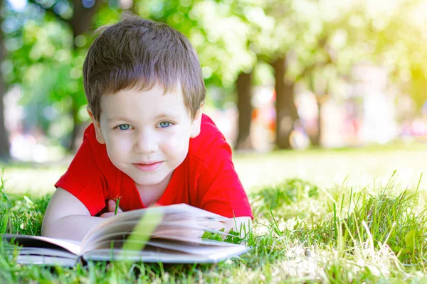 Anak Itu Terbaring Rumput Dan Membaca Buku Anak Muda Masa Stok Gambar Bebas Royalti