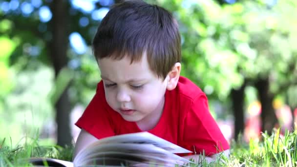 Le garçon est allongé sur l'herbe et lit un livre. Lecture extrascolaire. Formation hors ligne. — Video