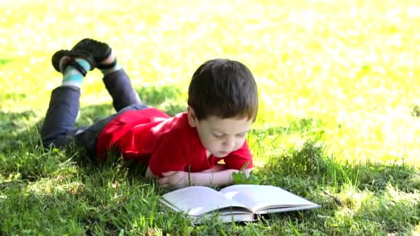 Der Junge liegt im Gras und liest ein Buch. Extraschulische Lektüre. Offline-Training. — Stockvideo