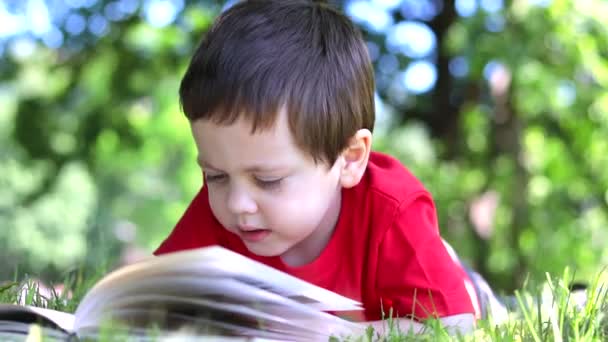 Хлопчик лежить на траві і читає книжку. Позакласне читання. Офлайн-тренінги . — стокове відео