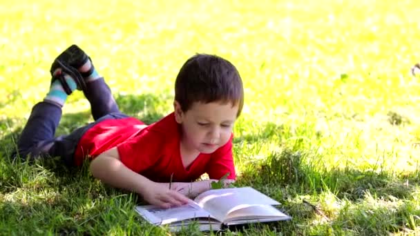Pojken ligger på gräset och läser en bok. Extrakurrikulär avläsning. Offlineutbildning. — Stockvideo