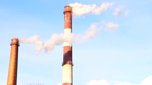 De la fumée de la cheminée. La fumée vient de la cheminée. Les tuyaux du système de chauffage. Pollution atmosphérique. — Video