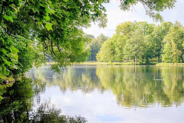 Mirror image of trees on the lake . Summer Park landscape. City park. Mirror image. Smooth surface on the lake. Landscape. Summer. Green tree