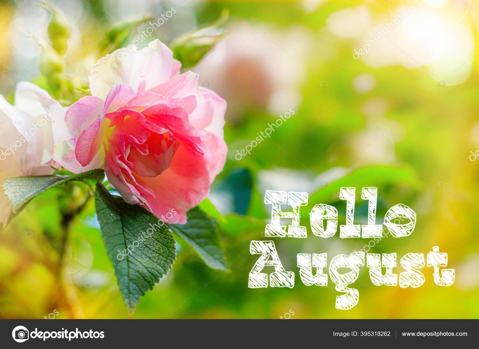 Hola agosto fotos de stock, imágenes de Hola agosto sin royalties |  Depositphotos