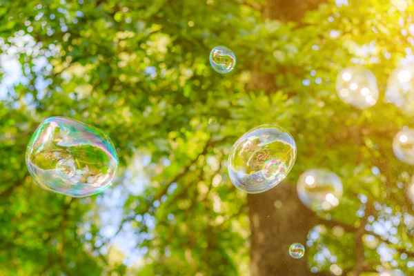Background soap bubbles on the background of trees . Beautiful color background. Copy space. The concept of a children\'s holiday and a happy childhood. Bright background concept . Bubbles