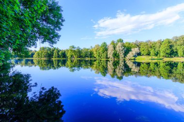 Parkta göllü bir yaz akşamı. Yaz manzarası. Rusya 'nın doğası. Park iyi bakılmış. İyi akşamlar, pürüzsüz. Sudaki yansıma..