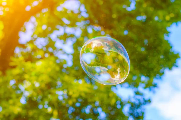 Fundo bolhas de sabão no fundo das árvores. Fundo de cor bonita. Espaço para cópia. O conceito de um feriado infantil e uma infância feliz. Conceito de fundo brilhante . — Fotografia de Stock