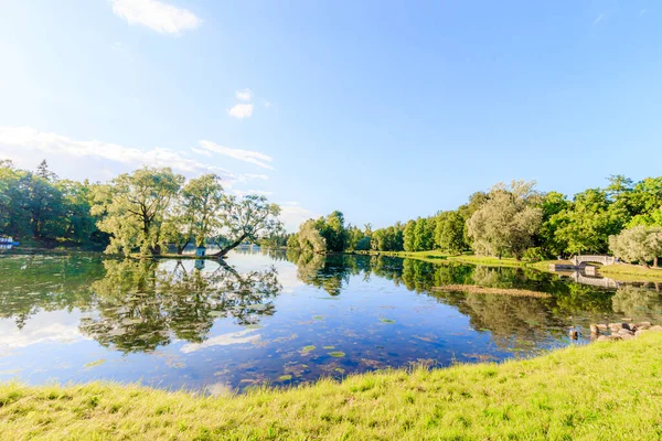 Sommerabend Park Mit See Sommerlandschaft Natur Russlands Gepflegter Park Abendliche — Stockfoto