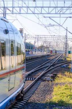 Peregrine Falcon dur. Hız treni. Moskova Yolu, Saint-Petersburg. Yolcuların taşınması. Nakliye aracı. Rus demiryolu. Tren bileti. Ülkeyi dolaş. Başkente bir gezi. Tren biletlerinin fiyatları. Rusya, Novgorod bölgesi,