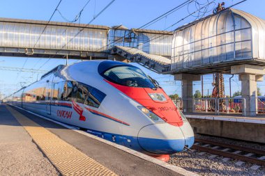Peregrine Falcon dur. Hız treni. Moskova Yolu, Saint-Petersburg. Yolcuların taşınması. Nakliye aracı. Rus demiryolu. Tren bileti. Ülkeyi dolaş. Başkente bir gezi. Tren biletlerinin fiyatları. Rusya, Novgorod bölgesi,