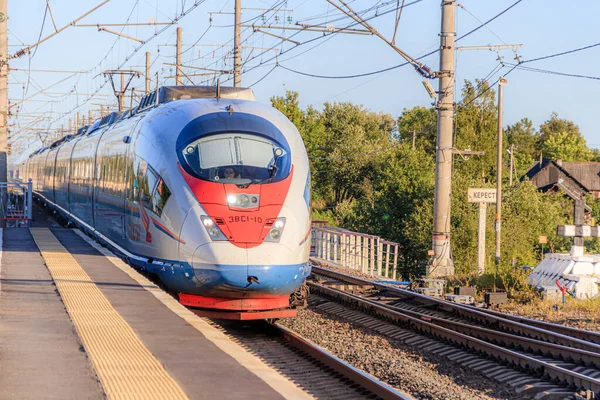 Peregrine Falcon dur. Hız treni. Moskova Yolu, Saint-Petersburg. Yolcuların taşınması. Nakliye aracı. Rus demiryolu. Tren bileti. Ülkeyi dolaş. Başkente bir gezi. Tren biletlerinin fiyatları. Rusya, Novgorod bölgesi,