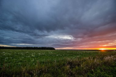 Yağmur sırasında gün batımı. Yaz manzarası. Pembe bir gün batımı. Akşam ışığı. Manzara. Doğa. Güneş batıyor..