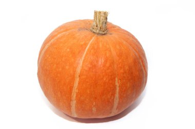 Balkabağı arkaplanı kopyalama alanı ile izole edildi. Balkabağı pankartı. Sonbahar sebzesi. Cadılar Bayramı. Turuncu balkabağı. Hasat et. Yiyecekler. Cadılar Bayramı ile ilgili makale. Balkabağı tabakları hakkında makale