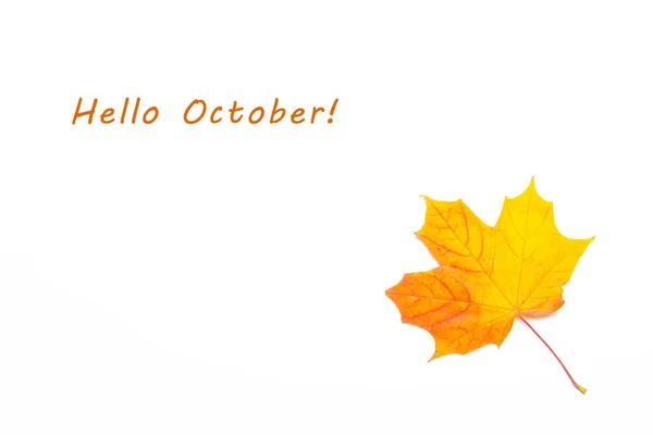 十月枫黄叶子在白色的背景上 枫叶与文字 新的一个月 秋天的叶子与文字 明信片 向你问候秋日 — 图库照片