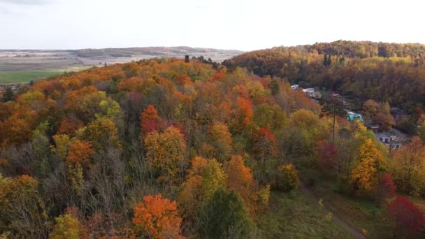 Відеорух осінніх дерев згори. Вид згори. Відео з дрона. Осінні дерева на вершині. ландшафт. Фотографії з повітря. Чудовий вид. Помаранчеві дерева. — стокове відео