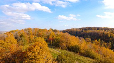 En üstte sonbahar ağaçları. Sonbahar manzarası. İnsansız hava aracının manzarası. Havadan çekilen fotoğraflar. Güzel manzara. Portakal ağaçları. Doğa