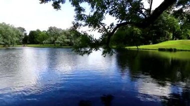Park Gölü 'nde yaz manzarası. Gölde su hareketi.
