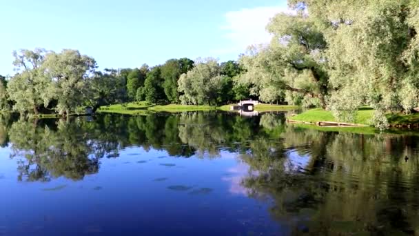 호수 공원의 여름 풍경. 호수의 물의 이동. — 비디오