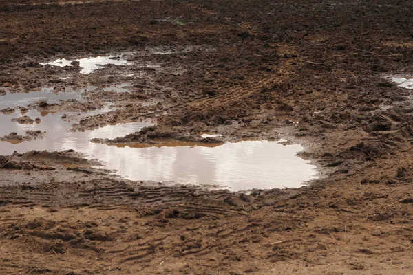 Brown Mud Puddle Ground — Stock Photo, Image