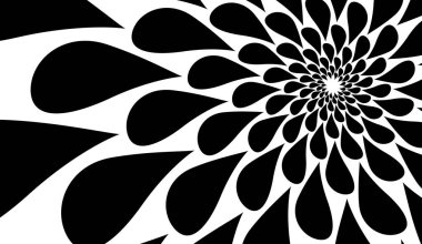 Beyaz arka planda vektör sarmalı. Çiçek deseni, simetri.