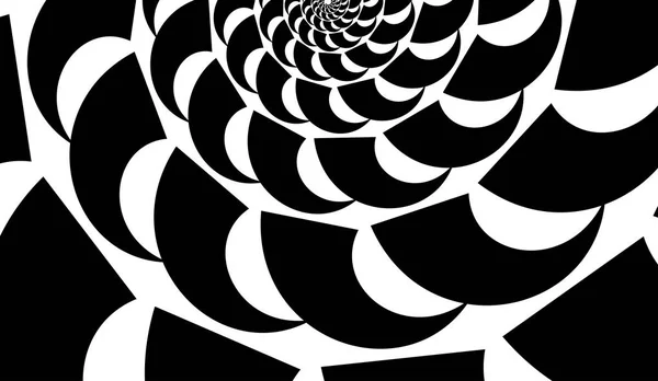 Coque vectorielle abstraite. Forme en spirale, coque. Éléments de conception sur fond blanc — Image vectorielle