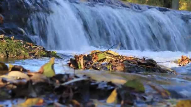 Beautiful waterfall in the mountains — Stock Video