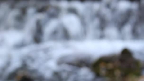 Размытый фон водопада — стоковое видео