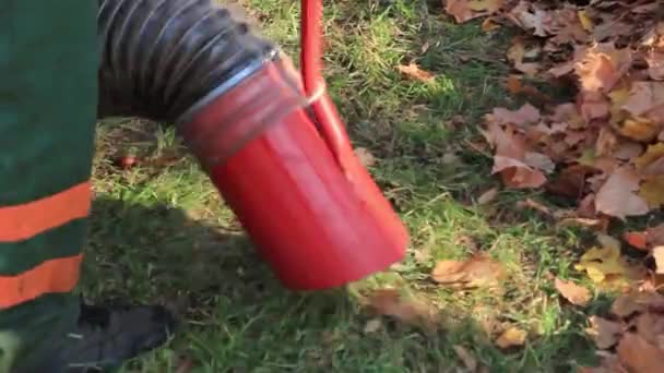 Travailleur aspirant le feuillage d'automne — Video