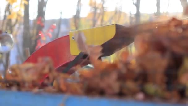 Auspuffrohr mit Herbstlaub — Stockvideo