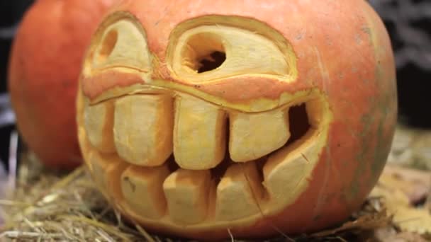 Zucca di Halloween divertente — Video Stock