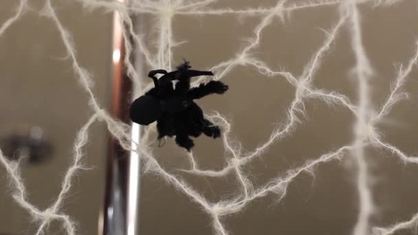 Konstgjord spindel på webben — Stockvideo