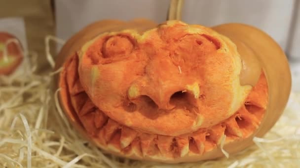 Calabaza divertida de Halloween — Vídeo de stock